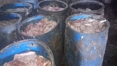 إعدام 17 طن لحوم ودجاج مجمد في حملة على المنشآت الغذائية ببلبيس