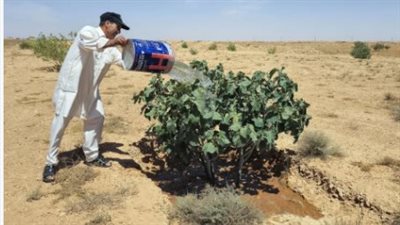 «صيف قاسٍ على المزارعين».. خسائر فادحة وارتفاع في الأسعار