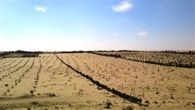  تنفيذ 17 تجمعًا تنمويًا بشمال وجنوب سيناء