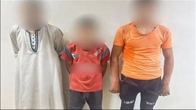 حبس الأشقاء الـ 3 المتهمين بإنهاء حياة طفل الهمامية وقطع كفيه 
