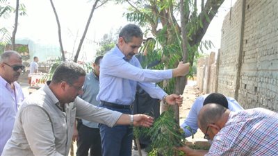 محافظ الغربية يشارك في زراعة 530 شجرة بمركزي طنطا وكفر الزيات