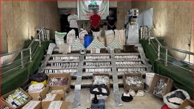 سقوط مافيا تصنيع العقاقير المخدرة بكمية قيمتها 616 مليون جنيه 