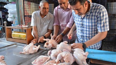 ضبط ٢٢.٥ كيلو لحوم دواجن غير صالحة للاستهلاك الادمي بالغربية