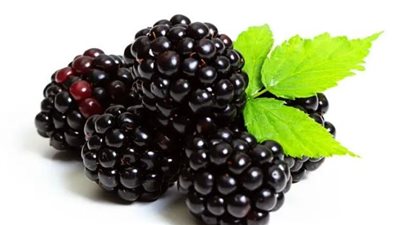 6 مشروبات مرطبة يمكن تناولها بعد التمارين