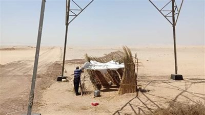 إزالات فورية لحالات تعدٍ بقروي القصر والصياد والرحمانية بنجع حمادي