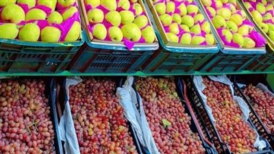 استقرار أسعار الفاكهة والخضروات اليوم الجمعة بأسواق الفيوم 