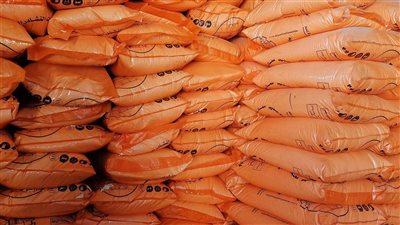 الجمعيات الزراعية تواصل صرف أسمدة المحاصيل الصيفية بالفيوم 