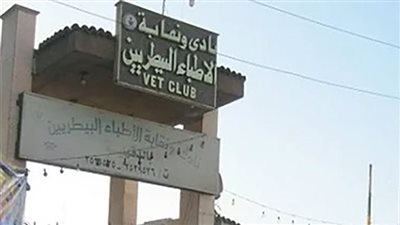 «البيطريين» تقرر استمرار صرف الإعانات ولجان لبحث أزمة نادى بورسعيد وعقود الإشراف