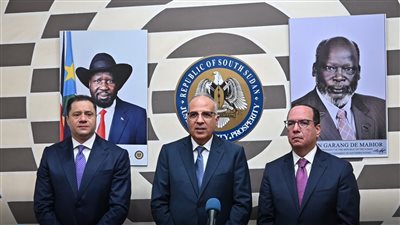 الري: نعطي أولوية كبرى لإنشاء مشروعات في دول حوض النيل