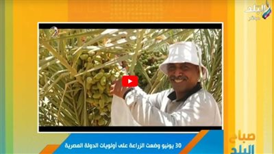 قطاع الزراعة ثاني مصادر النقد الأجنبي ويمثل 15% من الناتج المحلي (فيديو)