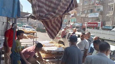 المنوفية تتابع جهود رفع الإشغالات والتعديات المخالفة على الطريق العام