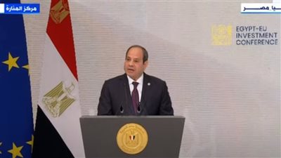 السيسي: الشعب المصري صلب وصامد ومتطلع لمستقبل أفضل منذ 12 عامًا (شاهد)