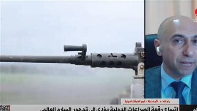 خبير العلاقات الدولية: منظمات الأمن الدولي فشلت في الحد من اتساع رقعة الصراعات الدولية