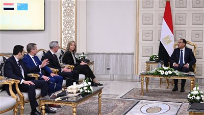 رئيس الوزراء يلتقي الرئيس التنفيذي لشركة سكاتك النرويجية