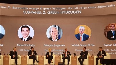 رئيس المنطقة الاقتصادية لقناة السويس: تعزيز الشراكات الدولية لتحقيق طفرة بمشروعات الطاقة الخضراء