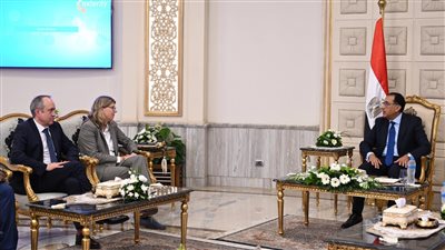 مارتينا بينى: فولكس فاجن مهتمة للغاية بدخول السوق المصرية