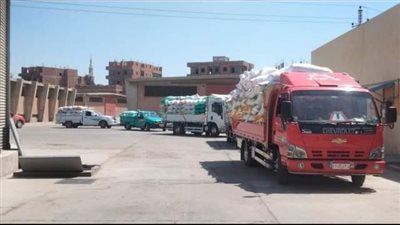 شون وصوامع الشرقية تواصل استقبال محصول القمح المحلي