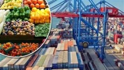 مصر تحقق طفرة غير مسبوقة في صادراتها الزراعية