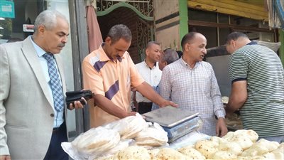 تحرير 259 محضراً في حملات تموينية وتفتيشية بالمنيا