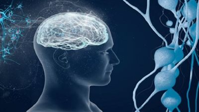 كيف تحفز أدوية مكافحة السمنة الرائجة الشعور بالشبع؟