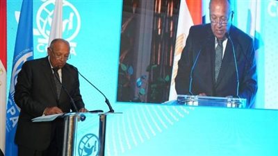 بحضور وزير الخارجية وشخصيات مصرية ودولية.. مركز القاهرة الدولي يحتفل بعيده الثلاثين 