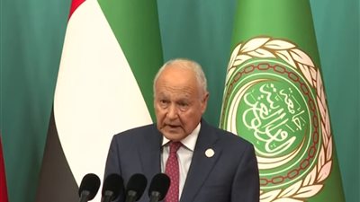 أبو الغيط: زيارة السفير حسام زكي إلى لبنان للتضامن وتنفيذ قرارات الجامعة العربية