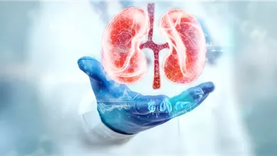 الارتجاع الكلوي مرض خطير يهدد المثانة.. أسبابه وأشهر الأعراض