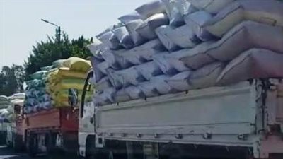 إرتفاع توريد محصول القمح لصوامع وشون محافظة الشرقية 