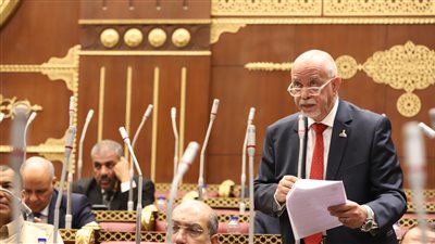 حازم الجندي: المصريون يعولون آمالهم على التشكيل الجديد للحكومة في مواجهة التحديات