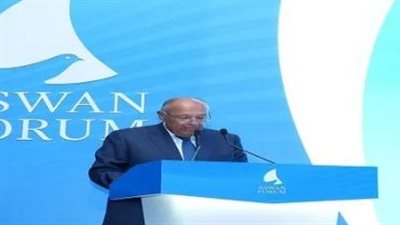 وزير الخارجية: مصر ترى أهمية تطبيق مبدأ الحلول الإفريقية للمشاكل الإفريقية