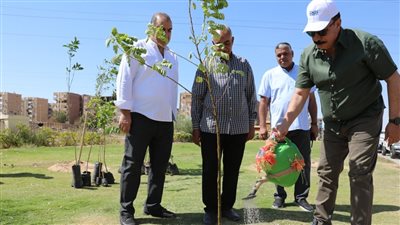 لمواجهة ارتفاع الحرارة.. محافظ أسوان يقوم بزراعة مجموعة من الأشجار