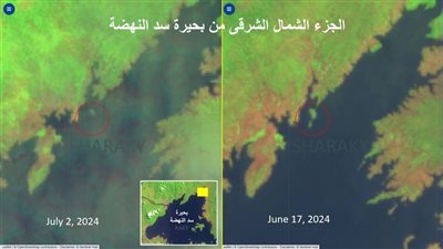 خبير : تعويض المليار الأول والتخزين الخامس لسد النهضة الاثيوبي في 20 يوليو