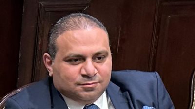 شعبة المصدرين: قرار فصل التجارة الخارجية يسهم في زيادة الصادرات المصرية للخارج