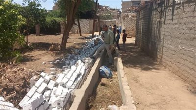 حملة لإزالة التعديات بقروى الرحمانية بنجع حمادي