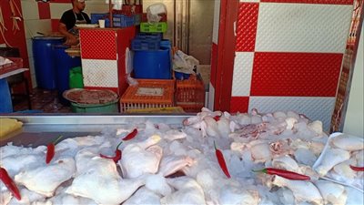 79 جنيهًا للكيلو.. تعرف على أسعار الدواجن البيضاء بأسواق البحيرة 