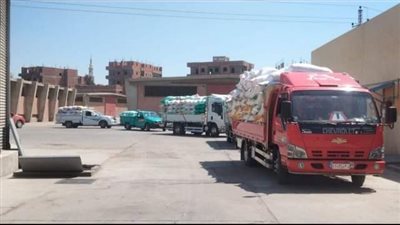 إرتفاع توريد محصول القمح لصوامع وشون محافظة الشرقية 