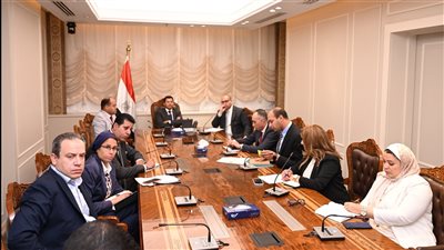 وزير الشباب والرياضة يلتقي سفير مصر في فرنسا عبر الفيديو كونفرانس