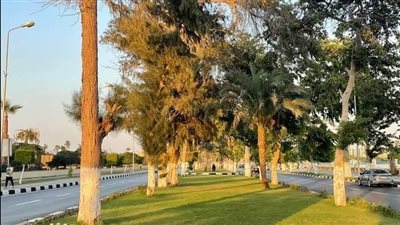 انخفاض طفيف في درجات الحرارة بالإسماعيلية 