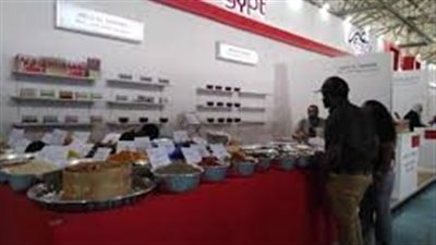 مصر تفوز بجائزة أفضل جناح بمعرض دار السلام الدولي 