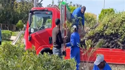 فتح أسواق جديدة بالخارج.. أهم توصيات مؤتمر علوم البساتين 