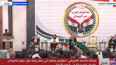 ممثلة الاتحاد الإفريقي: نعمل حثيثًا على إنهاء معاناة السودانيين والوقف الفوري للحرب