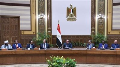 السيسي يستقبل وفدًا سودانيًا من المشاركين بمؤتمر القوى السياسية والمدنية السودانية