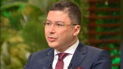 أستاذ إدارة أعمال: تبني سعر صرف مرن 