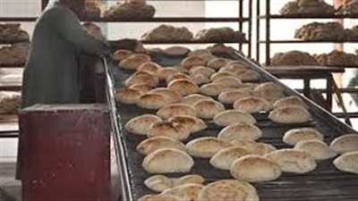 غلق 4 مخابز بلدية وتحرير 348 محضرا تموينيا بالمنوفية 