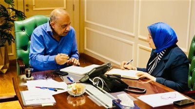 وزير الكهرباء: نعمل على استقرار التغذية الكهربائية بمتطلبات التنمية المستدامة