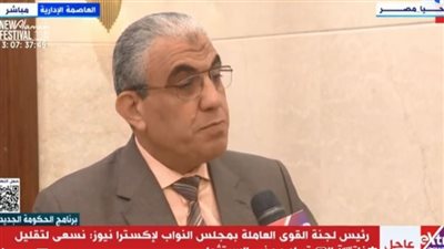 رئيس القوى العاملة بالنواب: نسعى لتقليل الفاتورة الاستيرادية وجذب الاستثمارات