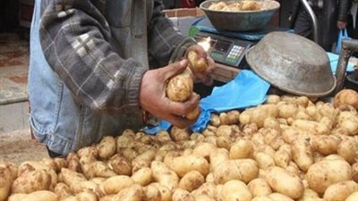 نقيب الفلاحين: ارتفاع أسعار البطاطس لـ 25 جنيهًا للكيلو كان متوقعًا