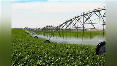 «الزراعة المستدامة» سلاح لمكافحة الجوع وحماية كوكب الأرض