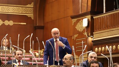 النائب حازم الجندي: بيان الحكومة يُلبي تطلعات الشعب المصري 