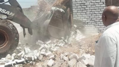 إزالة 27 حالة تعد على الأراضي الزراعية ببني سويف 